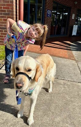 Therapy Dog Thursday – Abi and Frankie Update.