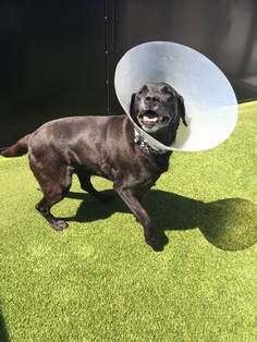 Post Operative Rehabilitation care