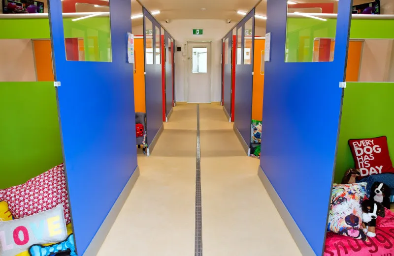 suite-rainbow-1